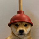 wifplunger