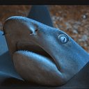 SHURK
