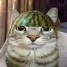 Melon