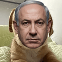 BIBI
