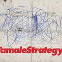 tamales2