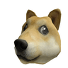 Doge