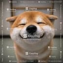 CopyDog