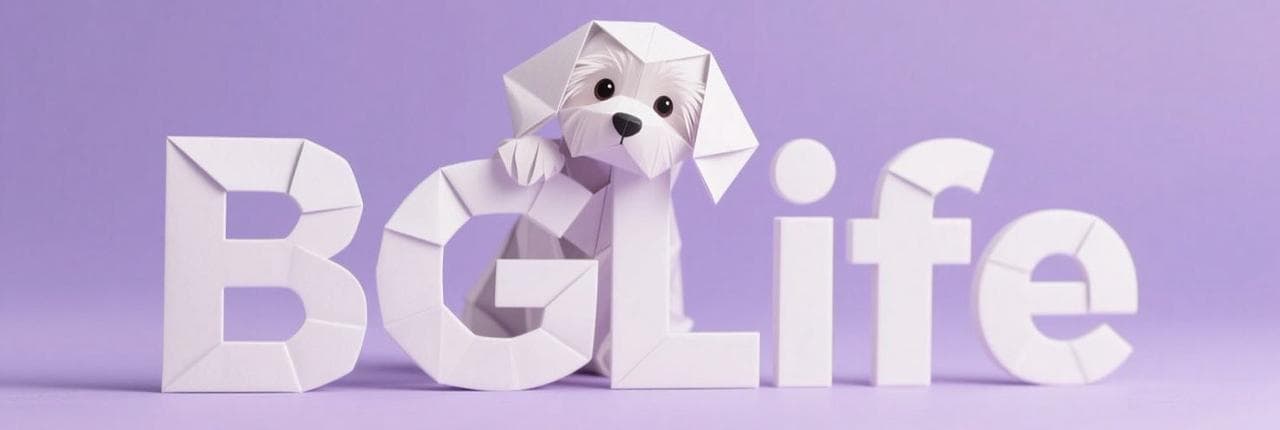 BGLIFE Banner