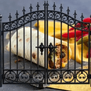 burritogate
