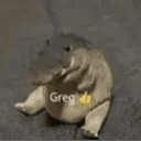 greg
