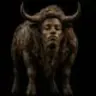 ANSEMINU