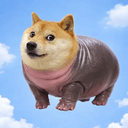moodoge