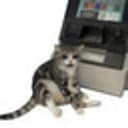 NOCASHCAT