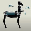 Satyress