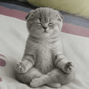 zen