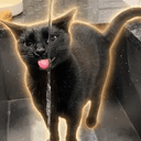 Faucat