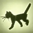 KITTY
