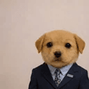 STARTPUP