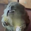 Tito