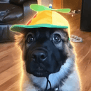 Benson