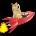 DOGE1