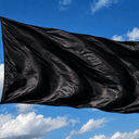 $FLAG