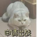 申请出战