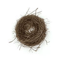 Nest