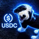 USDC