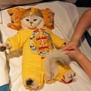 猫帝