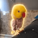 Kadu