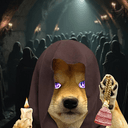 ACTCdog