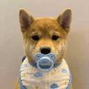 pup