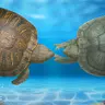 Bonded