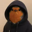 hood