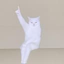UPCAT