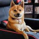 Kintaro
