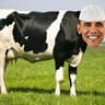moobarack