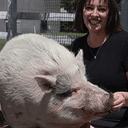 waddles