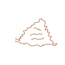 Shitseus