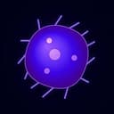 BLOB