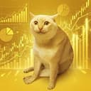 ChartCat
