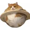 CATURN