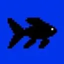 Fin