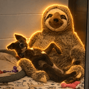 Taz