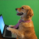 CDOG