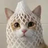wCAT