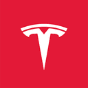 Tesla AI