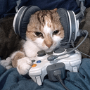 gamecat