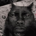 FACECAT