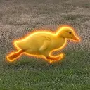JIMDUCK