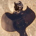 blob