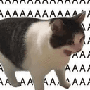 AAAA