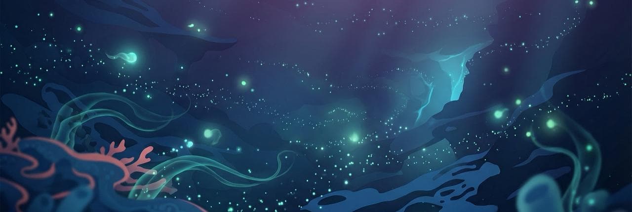 0xCoral Banner